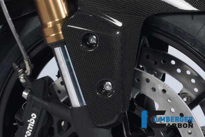 Ilmberger Carbon Flap am Kotflügel vorne rechts, Carbon für Speed Triple 1050i 515NJ