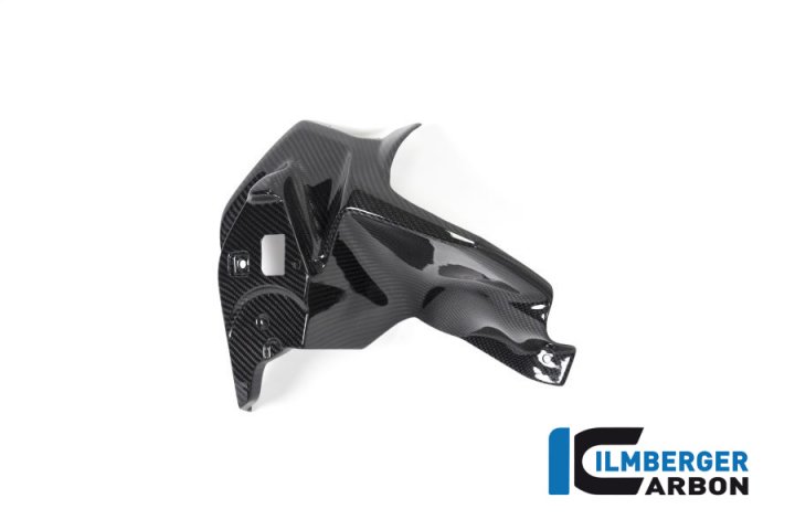 Luftauslassverkleidung links Carbon für BMW R1250GS ab 2019
