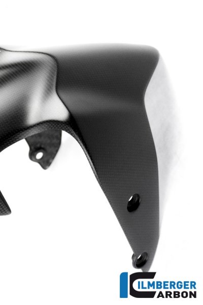 Ilmberger Carbon Kotflügel vorne matt für Monster 1200R MA