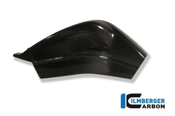 Ilmberger Carbon Schwingenabdeckung rechts und links, Carbon für S1000RR 2R10