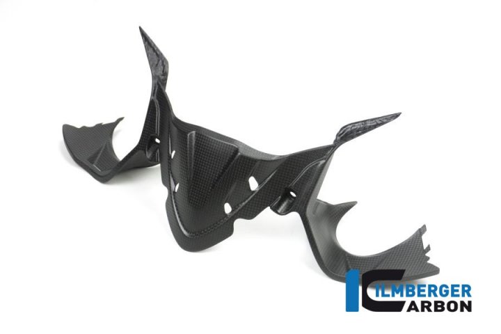 Ilmberger Carbon Instrumentenabdeckung matt, Carbon für Panigale 1299 H9