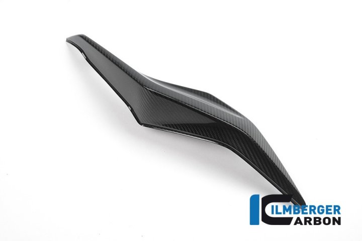 Ilmberger Carbon Heckverkleidung links für S1000XR K10