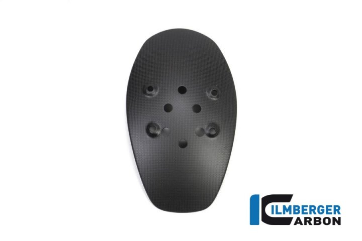 Ilmberger Carbon Spritzschutz hinten matt für XDiavel GA