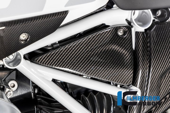 Rahmendreieckcover links Carbon für BMW R1250R (LC) ab 2019