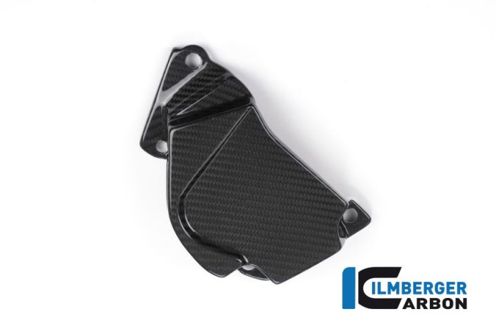Ilmberger Carbon Ritzeladeckung für S1000XR K10