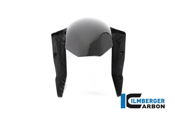 Kotflügel vorne Carbon für BMW R 1250 R (LC) 2019