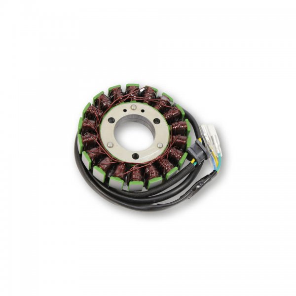 ElectroSport Stator ESG024 für Lichtmaschine für ZZR 250 - 29 KW GS 1000 G