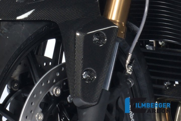 Ilmberger Carbon Flap am Kotflügel vorne links, Carbon für Speed Triple 1050 R 515NV