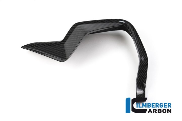 Ilmberger Carbon Handprotektoren rechts für S1000XR K10