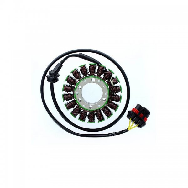 ElectroSport Stator ESG306 für Lichtmaschine für