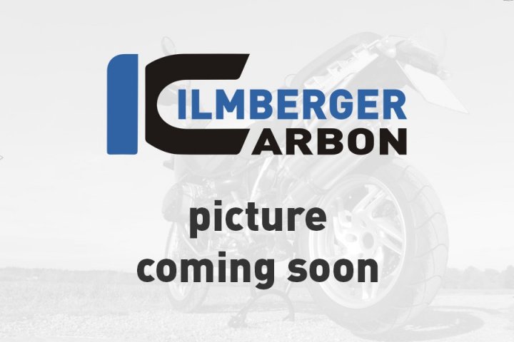 Ilmberger Carbon Abdeckung ESA Box für R1200GS 1G12