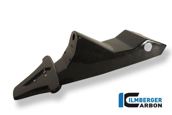 Ilmberger Carbon Nummerntafelhalter , Carbon für Speed Triple 1050i 515NJ