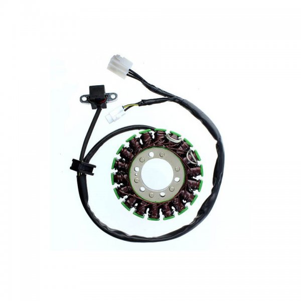 ElectroSport Stator ESG793 für Lichtmaschine für SFV 650 Gladius - 53 KW