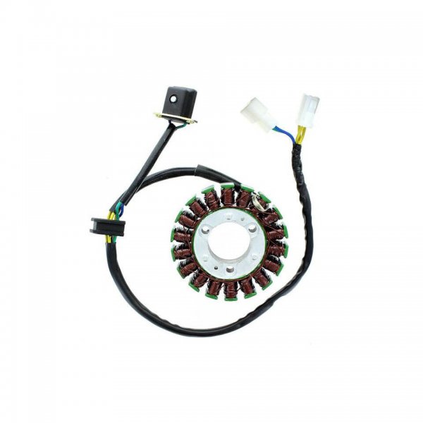 ElectroSport Stator ESG368 für Lichtmaschine für GV 250 i Classic - 18 KW