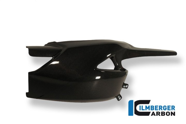 Ilmberger Carbon Schwingenschutz, Carbon für Speed Triple 1050 R 515NV