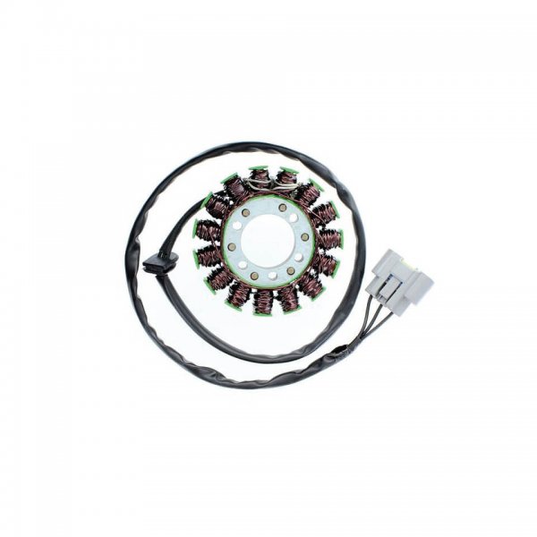 ElectroSport Stator ESG845 für Lichtmaschine für S 1000 RR HP4 - 142 KW