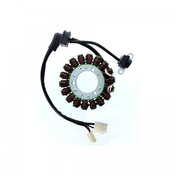 ElectroSport Stator ESG088 für Lichtmaschine für GSX 1250 FA ABS - 72 KW