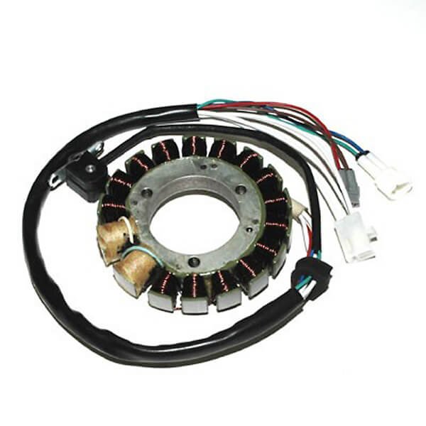 ElectroSport Stator ESG434 für Lichtmaschine für