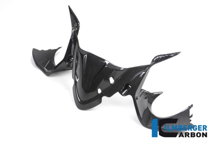 Ilmberger Carbon Instrumentenabdeckung glanz, Carbon für Panigale 1299 H9