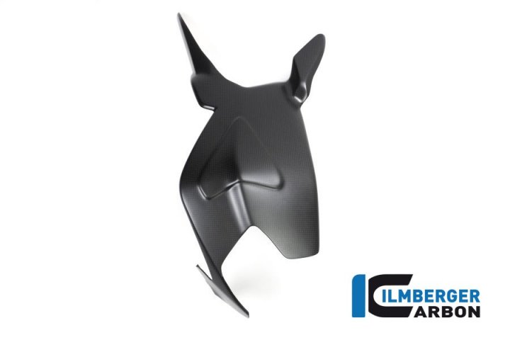 Ilmberger Carbon Schwingenabdeckung, Carbon für Panigale 1199 H8