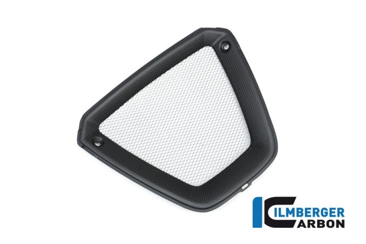 Ilmberger Carbon Motorspoiler Mittelteil matt für XDiavel GA