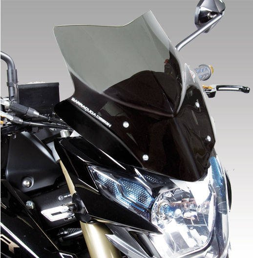 Windschild Plexiglas Suzuki GSX-S750 GSR750 GSX-S 750 WC50