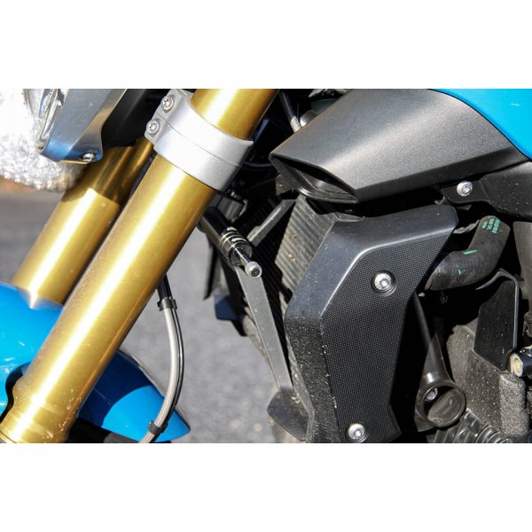 LSL Lenkungsdämpfer Kit BMW R 1200 R 15-, titan für R 1250 RS - 100 KW