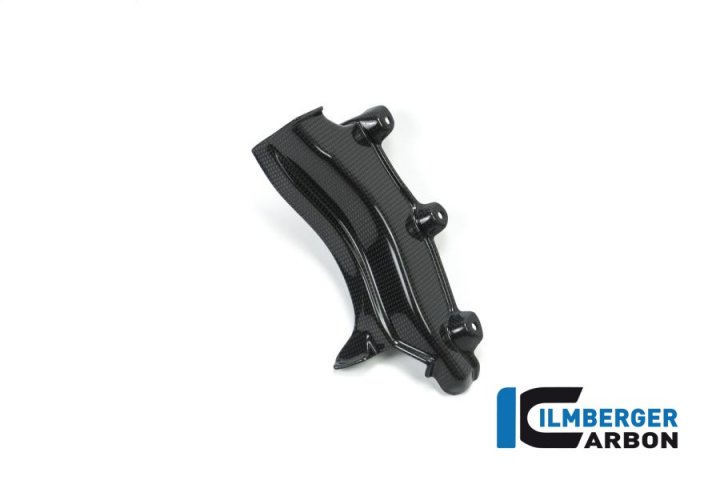 Ilmberger Carbon Kabelbaumabdeckung glanz für XDiavel GA