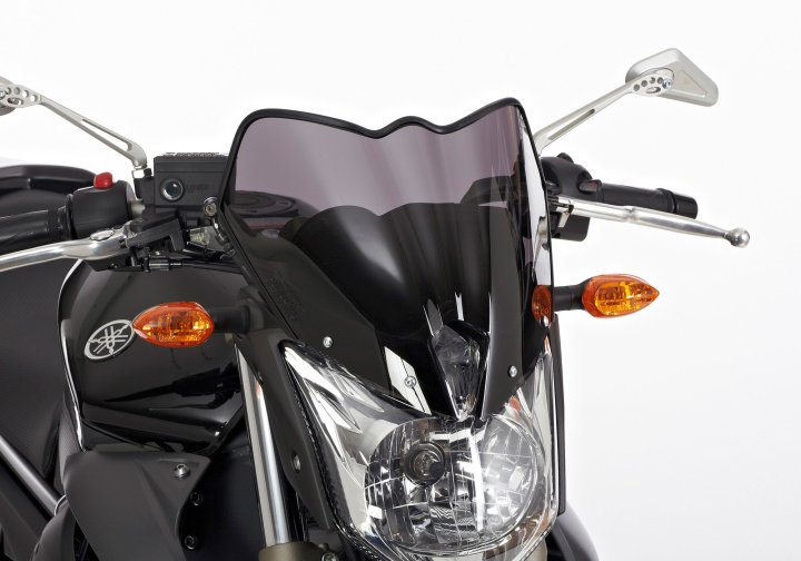ERMAX Naked-Bike-Scheibe fÃ¼r XJ6 RJ19/RJ22 für XJ6 RJ19/RJ22