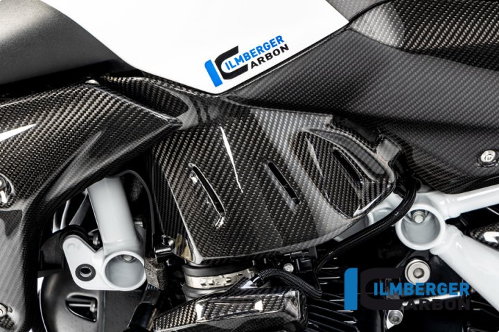 Seitendeckel unterm Tank links Carbon für BMW R 1250 R (LC) 2019