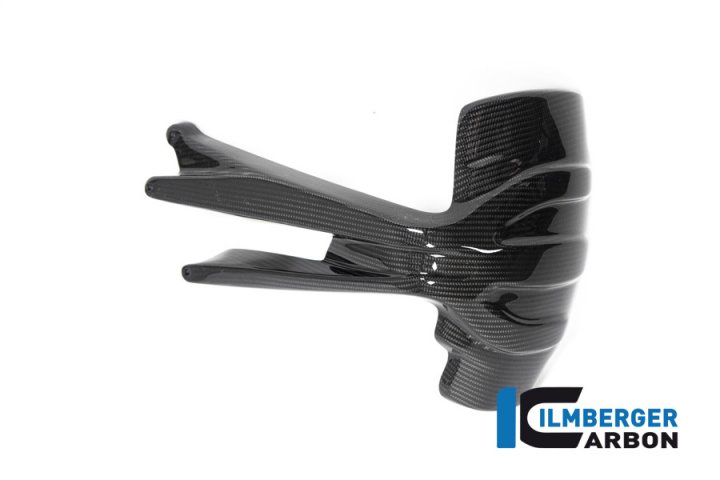Spritzschutz hinten Carbon für BMW R1250GS (Adventure) ab 2019