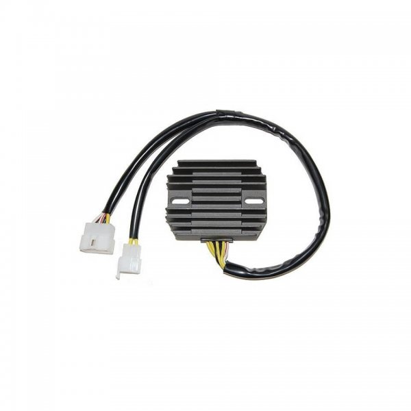 ElectroSport Laderegler ESR 310 für XS 1100 S - 70 KW
