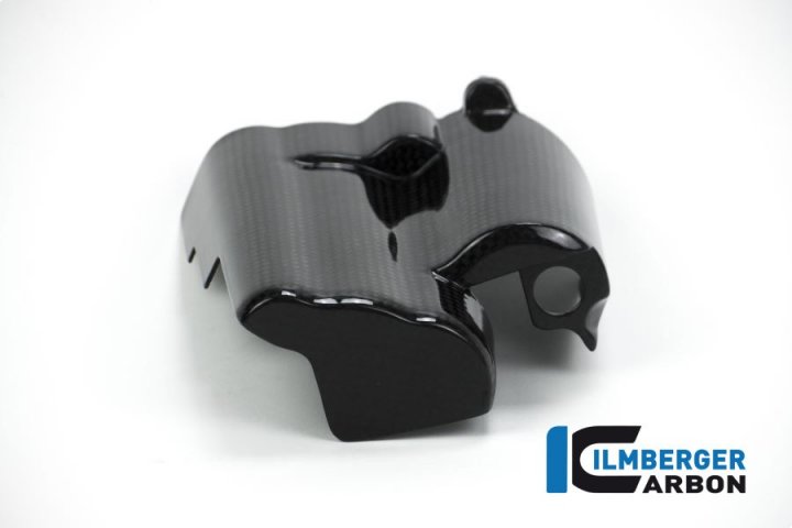 Ilmberger Carbon Anlasserabdeckung für R nineT Scrambler 1N12