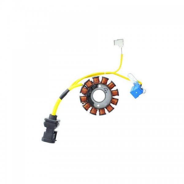 ElectroSport Lichtmaschinenstator ESG194 für Medley 125 S ABS IGET - 11 KW Looxor 125 Runner 180 VX