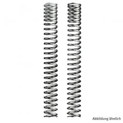 Wilbers Gabelfedern für 888 Strada ZDM888S1 Wilbers Gabelfedern für 888 Strada ZDM888S1