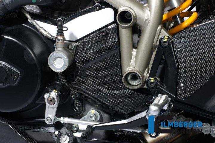 Ilmberger Carbon Ritzelabdeckung, Carbon für Streetfighter 848 F1