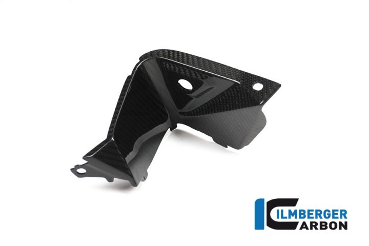 Ilmberger Carbon Cockpitabdeckung links für S1000XR K10