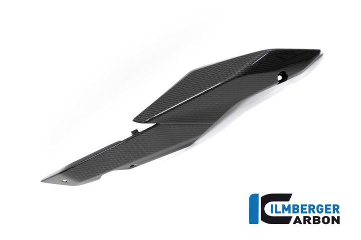 Seitendeckel am Sitz rechts Carbon für BMW R 1250 R (LC) 2019