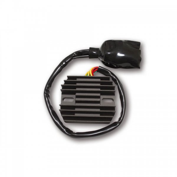 ElectroSport Laderegler ESR 438 für VFR 800 - 80 KW
