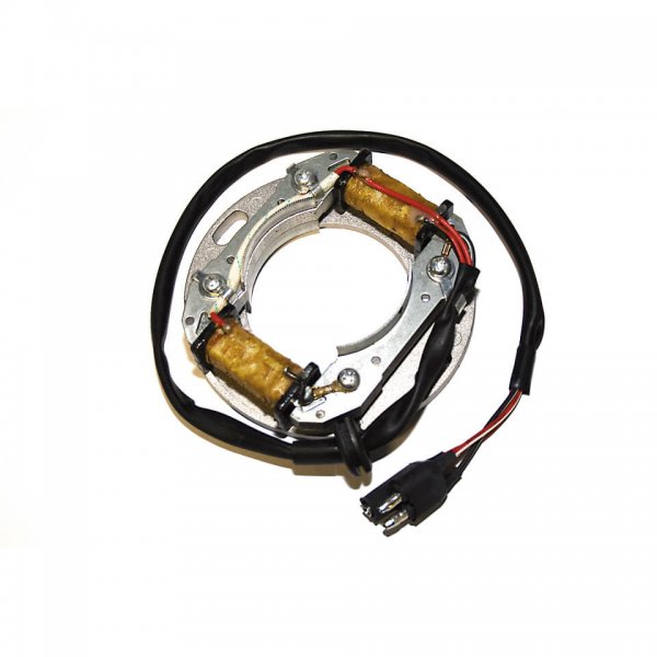 ElectroSport Stator ESC8081 für Lichtmaschine für