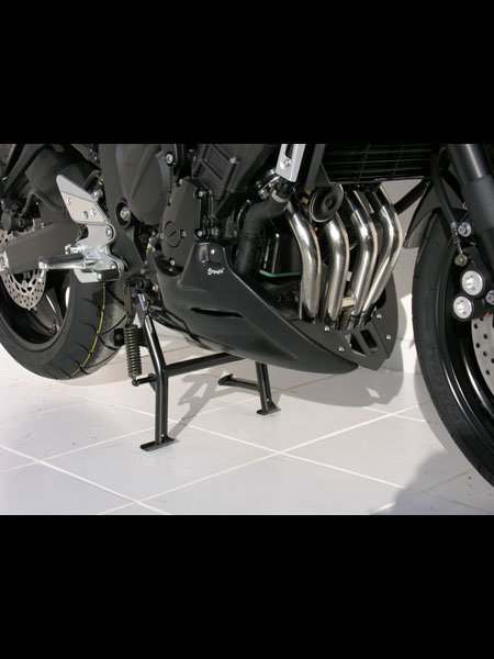 BODYSTYLE Bugspoiler fÃ¼r FZ6 RJ14 für FZ6 RJ14