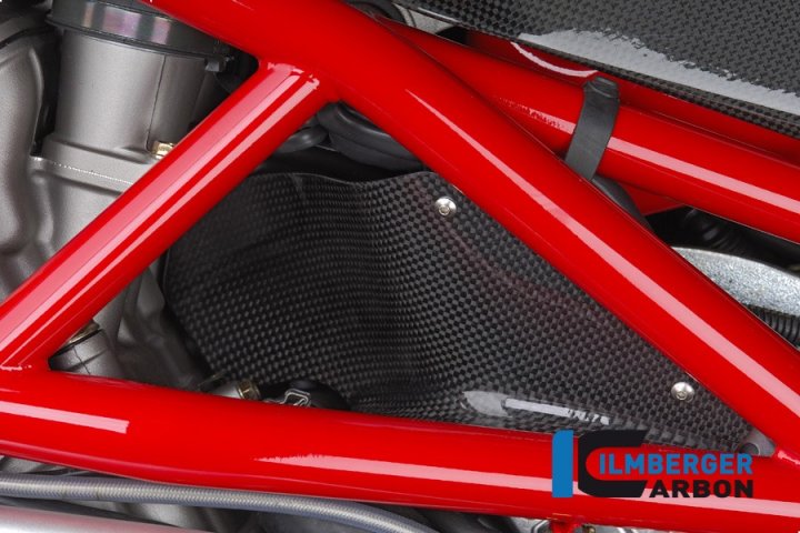 Ilmberger Carbon seitl. Luftabweiser, Carbon für Brutale 910 F4