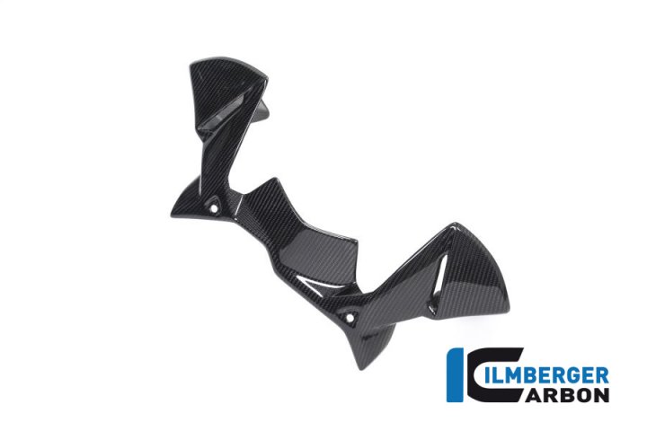 Ilmberger Carbon Windabweiser am Cockpit für R1250GS Adventure 1G13