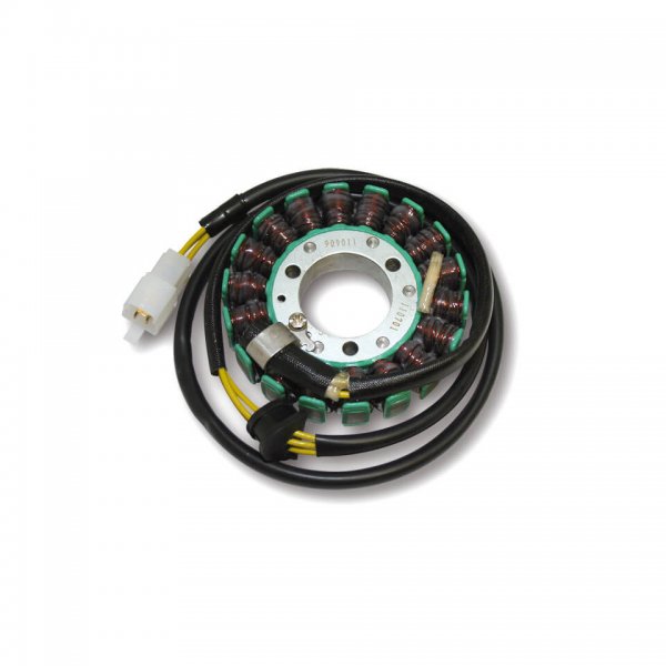 ElectroSport Stator ESG011 für Lichtmaschine für GS 500 H