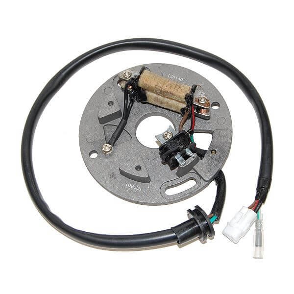 ElectroSport Stator ESC140 für Lichtmaschine für WR 250