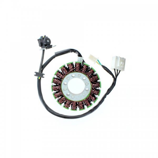 ElectroSport Stator ESG113 für Lichtmaschine für Ninja 300 B EX ABS - 29 KW