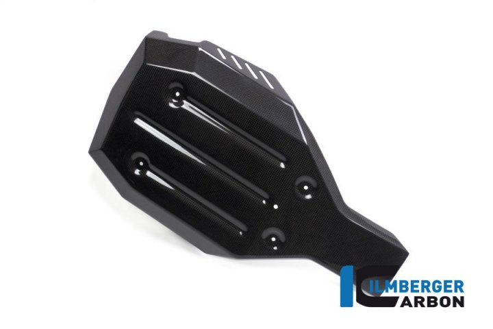 Ilmberger Carbon Motorschutz unten für R nineT 1N12