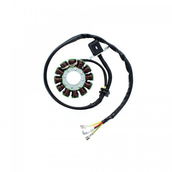 ElectroSport Stator ESG169 für Lichtmaschine für Freeride 350 4T - 17 KW