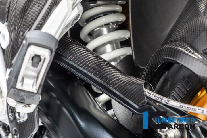 Bremsleitungsabdeckung Carbon für BMW R1250R ab 2019