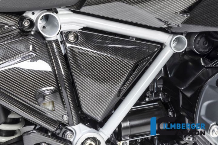 Rahmendreieckcover rechts Carbon für BMW R1250R (LC) ab 2019